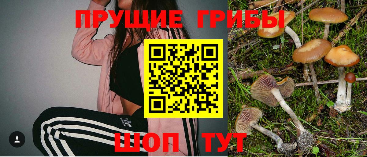 Псилоцибиновые грибы мухоморы Сочи