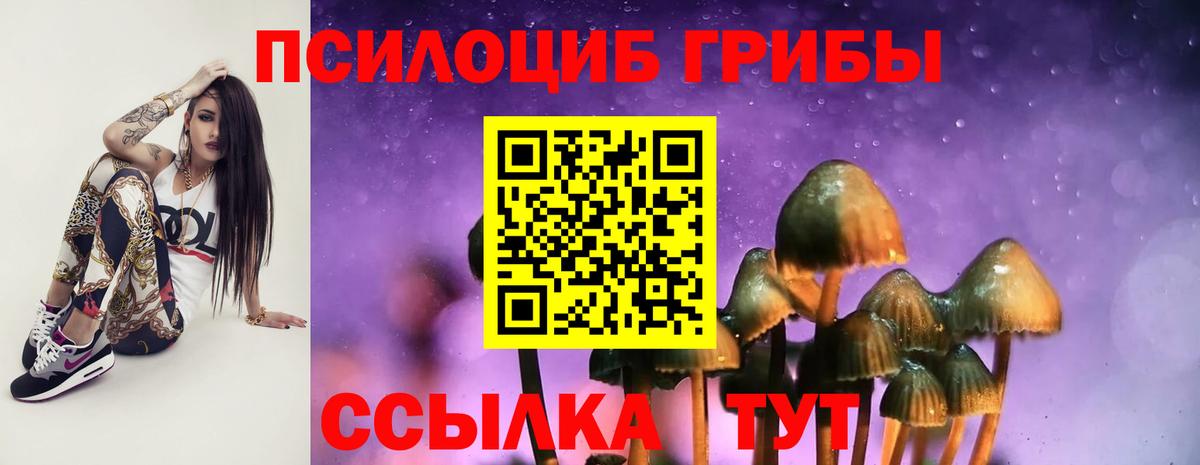 Псилоцибиновые грибы Cubensis  Вход с VPN  Сочи 